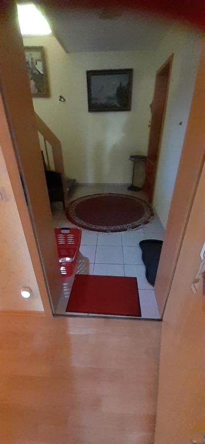 Roetenbacher Wiesen Friedenweiler Zewnętrze zdjęcie